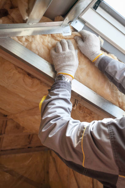Best Residential Insulation in Mford, IL