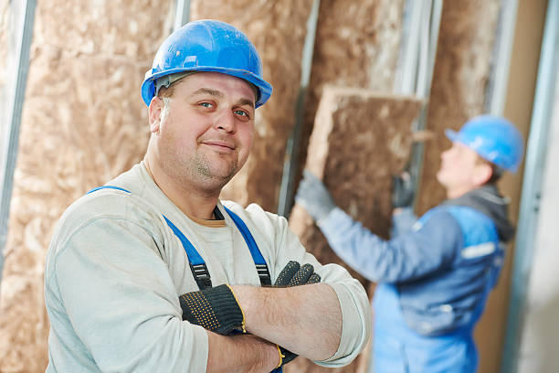 Best Insulation Maintenance and Repair in Mford, IL