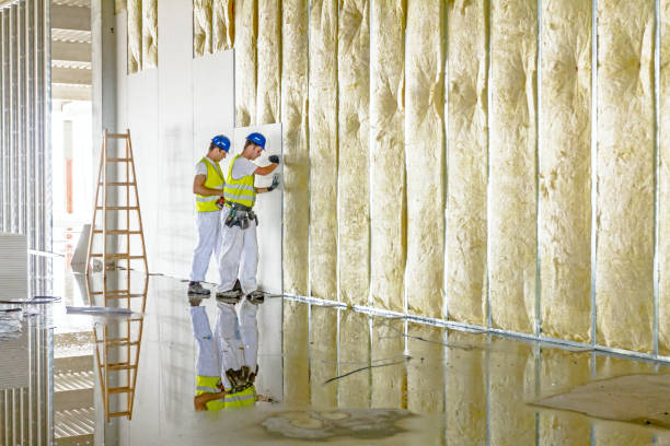 Professional Insulation Contractor in Milford, IL